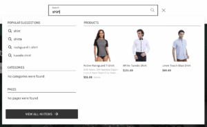 Customizing the appearance of Searchanise widgets