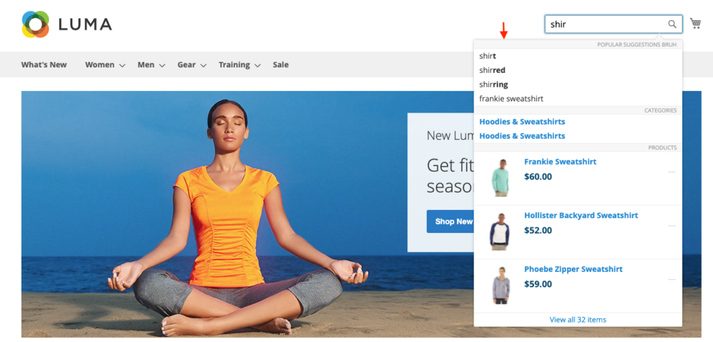 How to check that Searchanise works in Magento 2 stores